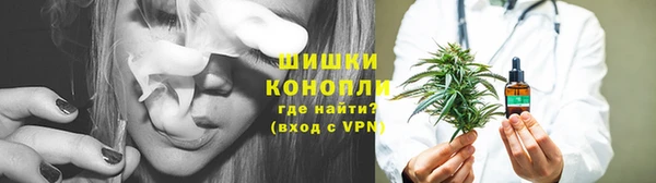 шишки Алексеевка