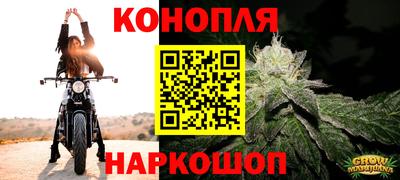 гашик Пушкино